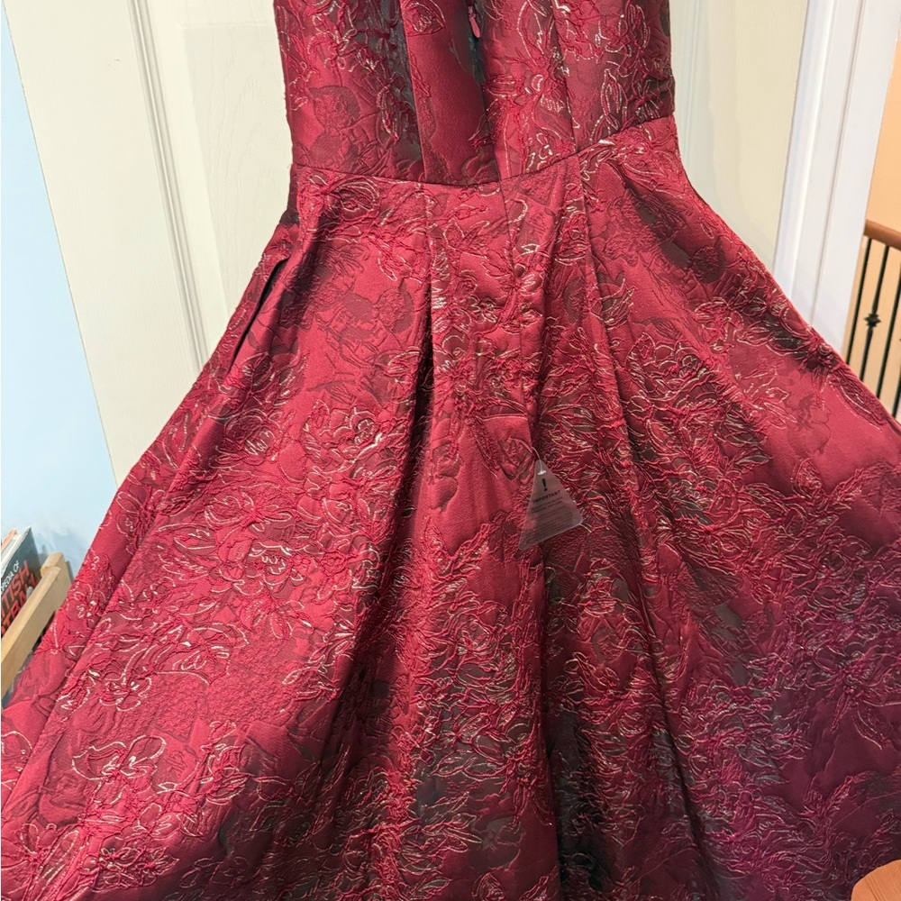 Bariano Burgundy Embroidered Gown